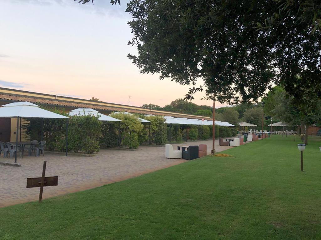 Koko Hotel Lido Di Savio Zewnętrze zdjęcie